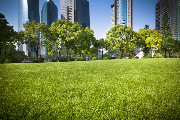 Making your office space environmentally friendly