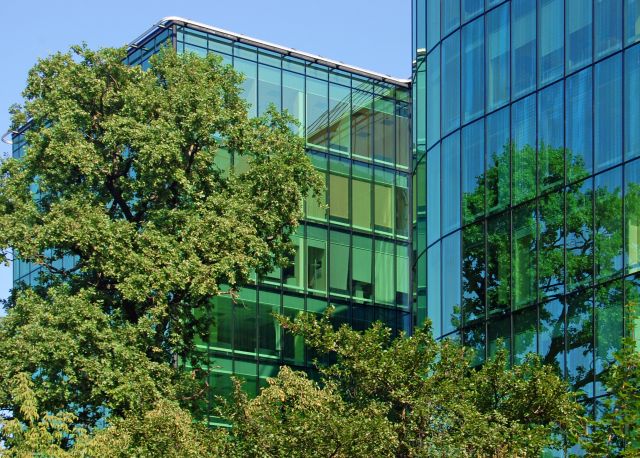 Green office spaces increase productivity and save money